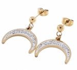 EARRINGS SILVER STAINLESS STEEL CELEBRITY