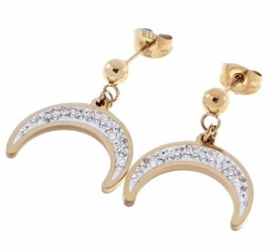 EARRINGS SILVER STAINLESS STEEL CELEBRITY