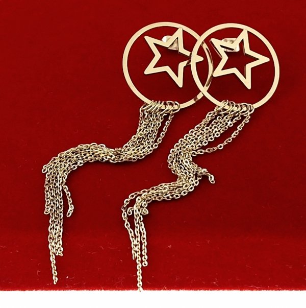 goldene Ohrringe aus Edelstahl
