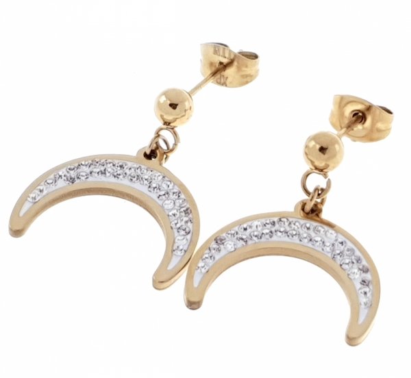 EARRINGS SILVER STAINLESS STEEL CELEBRITY