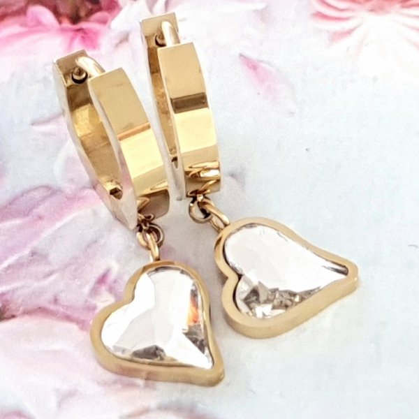 EARRINGS SILVER STAINLESS STEEL CELEBRITY