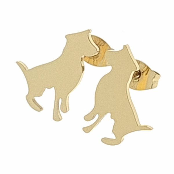 gold earrings made of stainless steel