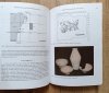 Polish Contributions in New World Archaeology / New Series, fasc.1