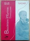 Nadar Baudelaire intymnie. Dziewiczy poeta