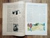Tęcza. Ilustrowane Pismo Tygodniowe 14 kwietnia 1928