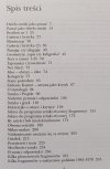 Andrzej Kostołowski Sztuka i jej meta-