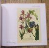 Imago Florae - spotkanie artysty i uczonego. Ilustracja botaniczna wiek XVI-XIX