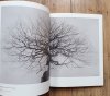 Jin-Gyeong: The True Landscape. Katalog wystawy współczesnej koreańskiej grafiki