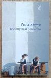 Piotr Szewc Bociany nad powiatem