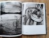 Helmut Newton Sex and Landscapes
