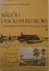 Krystyna Dąbrowska-Budziło Wśród panoram Krakowa. O przemianach widoków i o tym, ja je ocalić [dedykacja autorska]