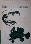 Rachel L. Carson • Morze wokół nas 