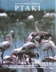 Encyklopedia zwierząt • Ptaki