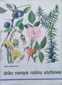 Jakub Mowszowicz • Dziko rosnące rośliny użytkowe