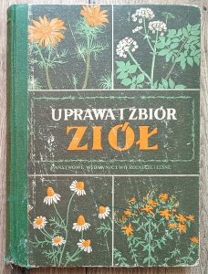 Cybulska, Janicka • Uprawa i zbiór ziół