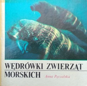 Anna Pęczalska • Wędrówki zwierząt morskich