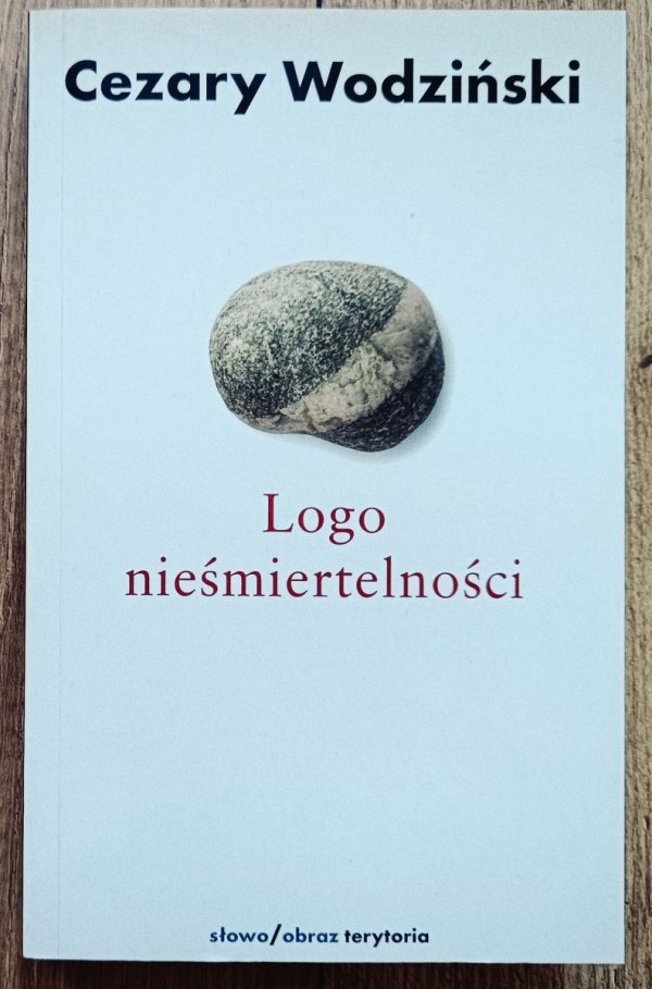 Cezary Wodziński Logo nieśmiertelności. Przypisy Platona do Sokratesa