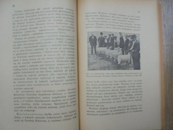 Prof. Dr. Tadeusz Olbrycht • Państwowa i samorządowa organizacja hodowli zwierząt we Francji [1938]