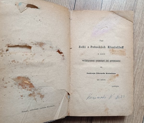 Andrzej Edward Koźmian Pamiętniki z dziewiętnastego wieku: wspomnienia / 1867