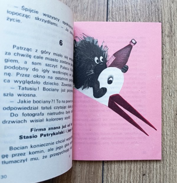 Stanisława Domagalska Coś