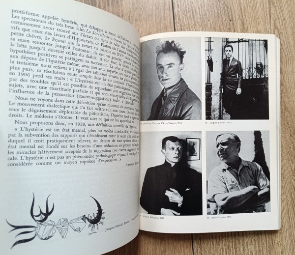 Patrick Waldberg Chemins du surrealisme