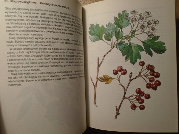 Jan Macku, Jindrich Krejca • Atlas roślin leczniczych