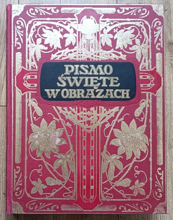 Pismo Święte w obrazach. Dzieje Starego i Nowego Testamentu