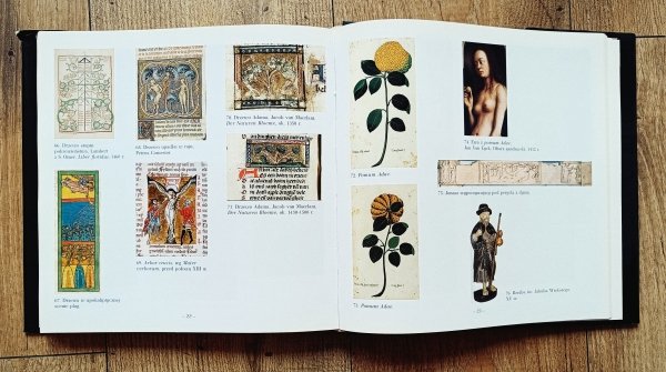 Stanisław Kobielus Florarium christianum. Symbolika roślin - chrześcijańska starożytność i średniowiecze