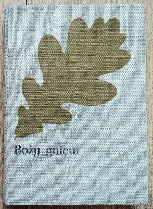 Józef Ignacy Kraszewski Boży gniew