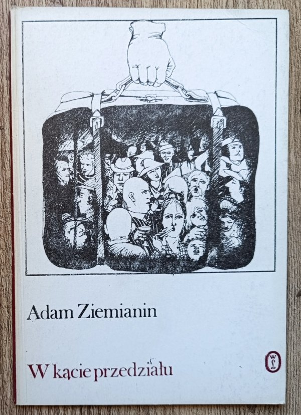 Adam Ziemianin W kącie przedziału