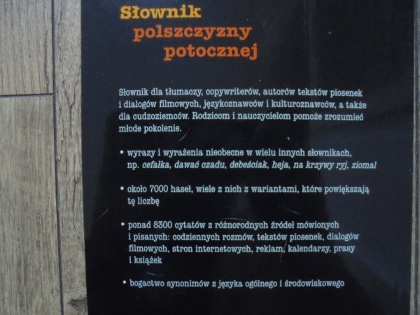 Maciej Czeszewski • Słownik polszczyzny potocznej