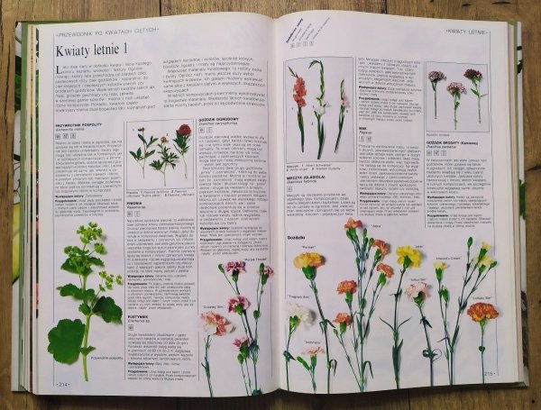 John Brookes Wielka księga kwiatów. Sztuka kompozycji i pielęgnowania