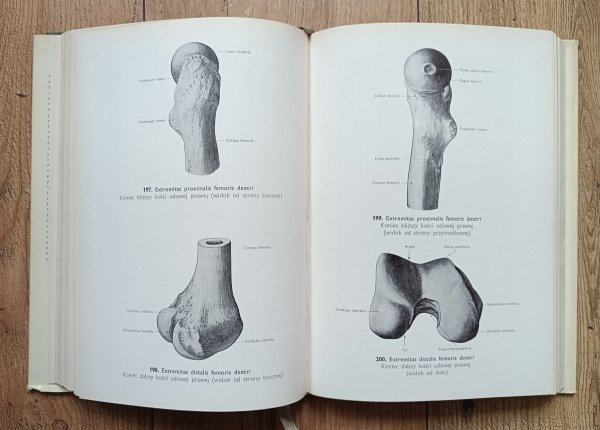 Mieczysław Stelmasiak Atlas anatomii człowieka tom 1