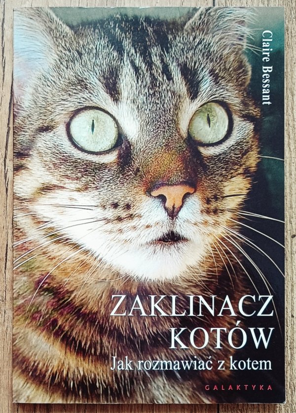 Claire Bessant Zaklinacz kotów. Jak rozmawiać z kotem