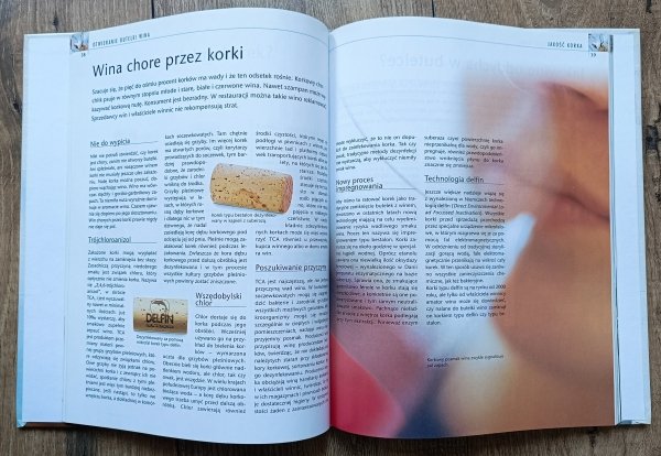 Jens Priewe Wino. Praktyczny poradnik