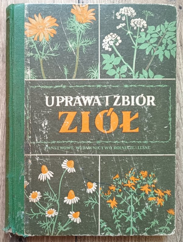 Cybulska, Janicka Uprawa i zbiór ziół