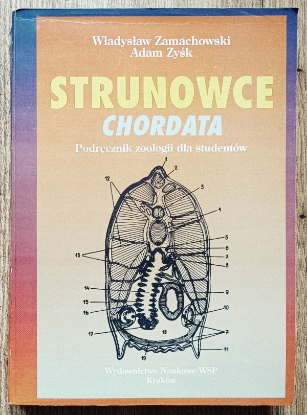 Strunowce Chordata. Podręcznik zoologii dla studentów