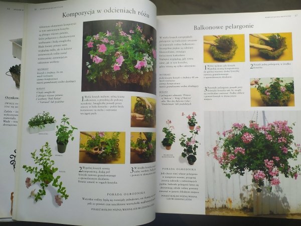 Stephanie Donaldson, Peter McHoy Rośliny ozdobne w pojemnikach w domu i ogrodzie