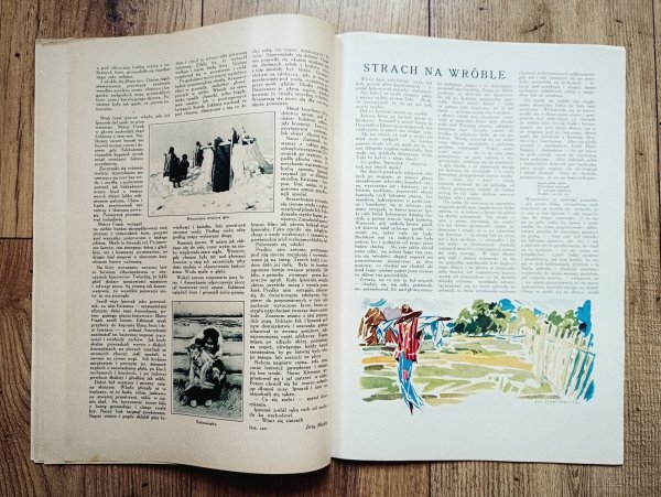 Tęcza. Ilustrowane Pismo Tygodniowe 14 kwietnia 1928