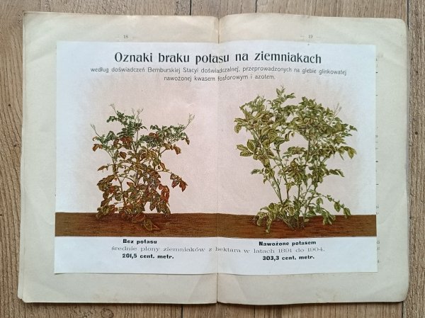 W.J. Karpiński Jak nawozić pod ziemniaki / 1908