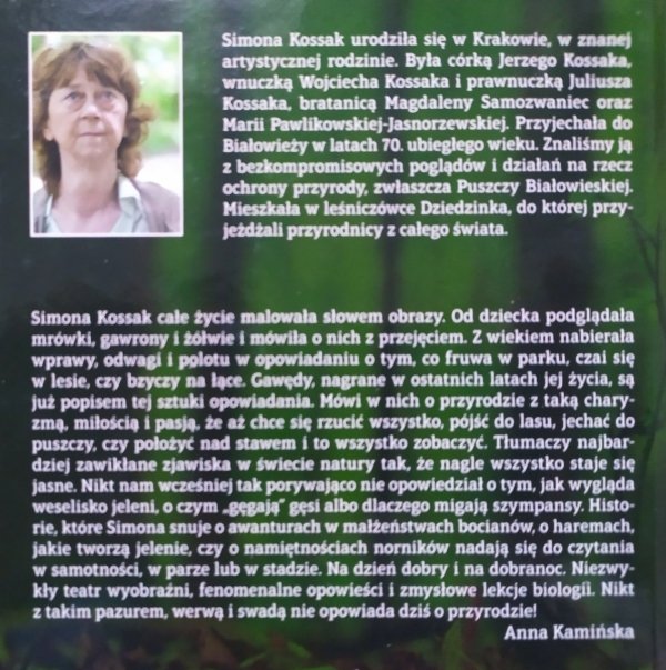 Simon Kossak Opowieści