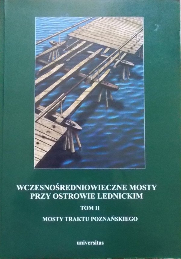 Wczesnośredniowieczne mosty przy Ostrowie Lednickim tom 2 • Mosty traktu poznańskiego