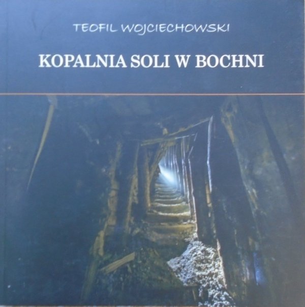 Teofil Wojciechowski • Kopalnia Soli w Bochni