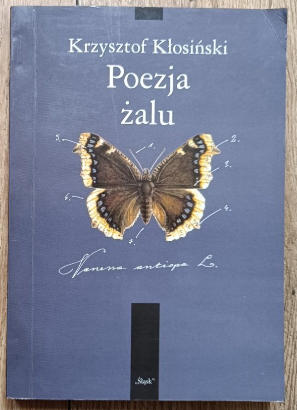 Krzysztof Kłosiński Poezja żalu