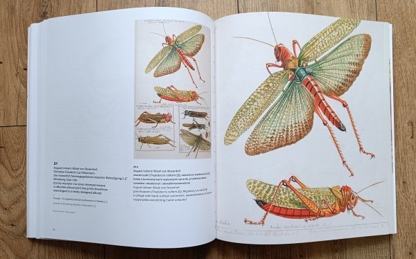 Rośliny i zwierzęta. Atlasy historii naturalnej w epoce Linneusza