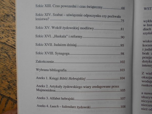 Przemysław Nowogórski • Szkice z historii duchowości judaizmu