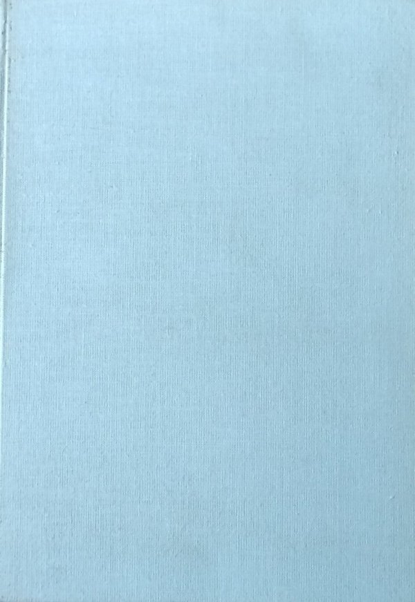 Jan Białostocki • Refleksje i syntezy ze świata sztuki 