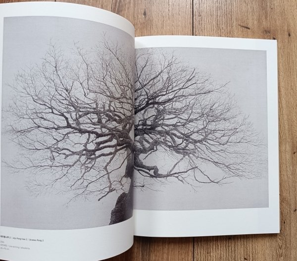 Jin-Gyeong: The True Landscape. Katalog wystawy współczesnej koreańskiej grafiki