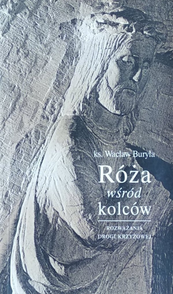 Wacław Buryła • Róża wśród kolców. 