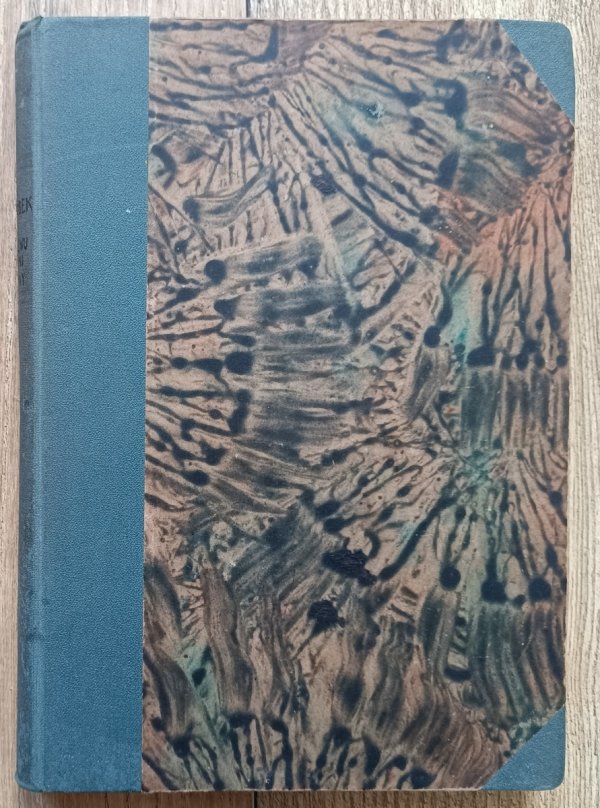 Z posiewu bogini wojny (alkoholizm, prostytucya, choroby płciowe, nerwowe i umysłowe, gruźlica i samobójstwo) / 1917